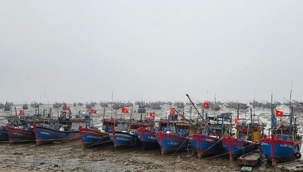 Suggest Thanh Hoa correct weaknesses in implementing the fight against IUU fishing